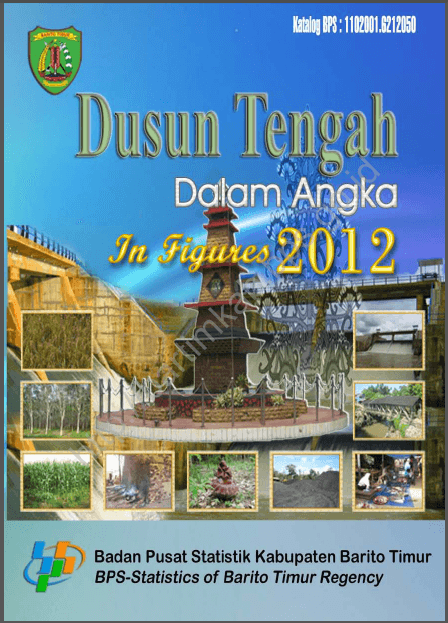 Kecamatan Dusun Tengah dalam Angka 2012