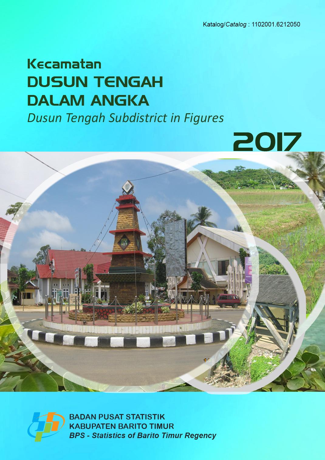 Dusun Tengah Subdistrict in Figures 2017