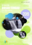 Dusun Tengah Subdistrict in Figures 2019